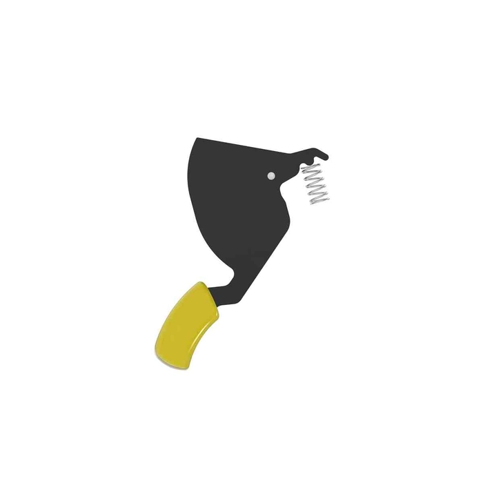 Arm