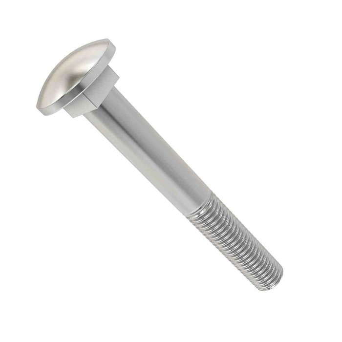 Bolt 10x80