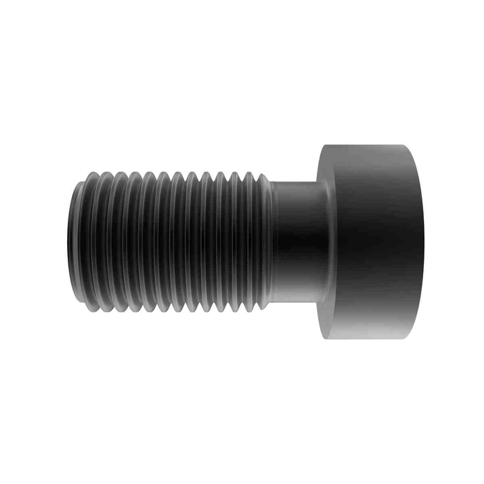 Bolt