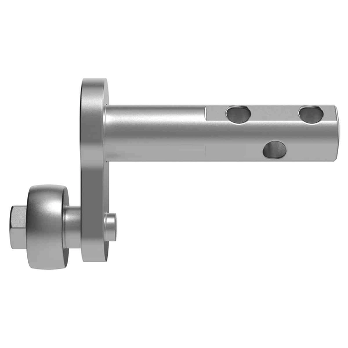 Arm
