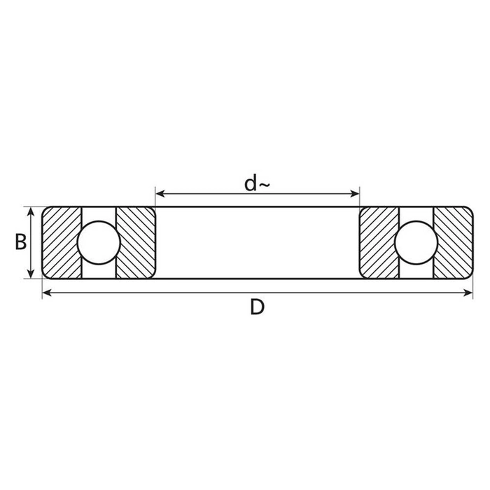LUK Pilotlager (Spigot Bearing) (410002540)